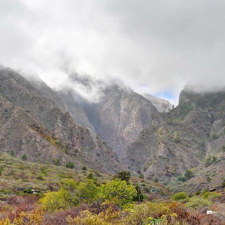 Naturaleza Viva El Socorro Dış mekan fotoğraf
