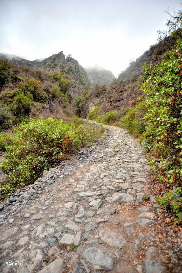 Naturaleza Viva El Socorro Dış mekan fotoğraf