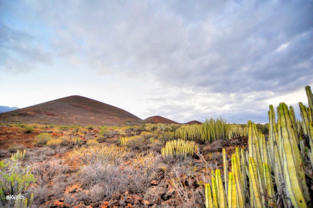 Naturaleza Viva El Socorro Dış mekan fotoğraf