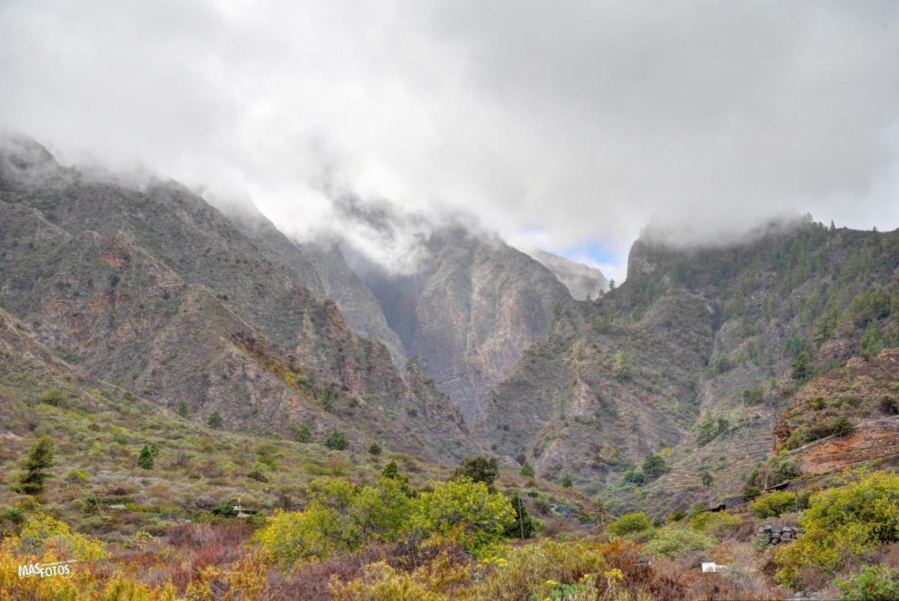 Naturaleza Viva El Socorro Dış mekan fotoğraf