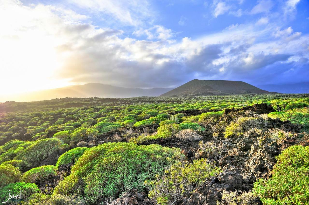 Naturaleza Viva El Socorro Dış mekan fotoğraf